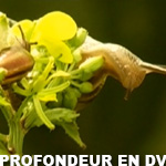 TestBidouille12-ProfondeurDV